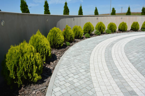 Reasons to Select Us for Your Driveway Paving Requirements in Branchville, SC